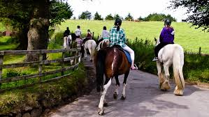 Horse & Pony Trekking